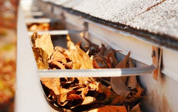 Greatfield gutter cleaning companies